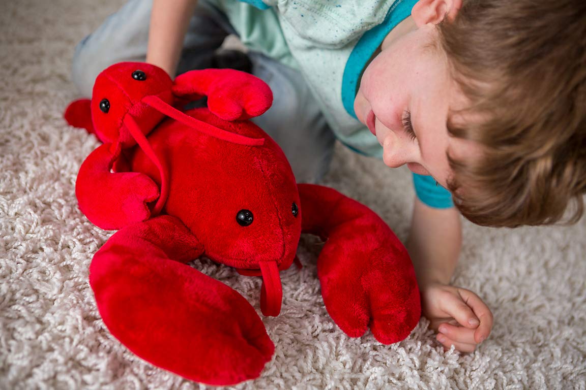 Mary Meyer Stuffed Animal Soft Toy, Lobbie Lobster, 10-Inches