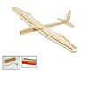 Dancing Wings Hobby Balsa Wood Radio Remote Controlled Electric F16 Glider Sunbird Need to Build (F1601B)