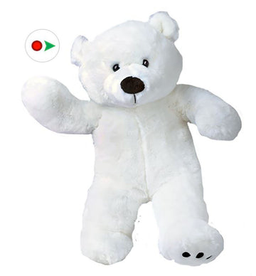 Stuffems Toy Shop Record Your Own Plush 8 inch White Polar Bear - Ready 2 Love in a Few Easy Steps