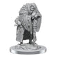 Dungeons & Dragons: Nolzur's Marvelous Minis: Wereravens