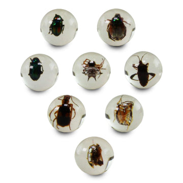 Safari Ltd. Geoworld Bug Marbles - Set of 8 Marbles 1 Inch with Real Insect Specimens