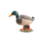 Papo - Realistic Mallard Duck Figure - Ages 3+ - Farm Life Collection - Educational Play Farm Birds - Gift Idea Toy for Girls and Boys