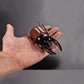DOYIFUN Pack of 6 Lifelike Beetle Model Toys, Fake Realistic Insect Figures Collection Playset Science Educational Learning Toys for Kids Toddlers