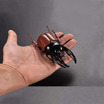 DOYIFUN Pack of 6 Lifelike Beetle Model Toys, Fake Realistic Insect Figures Collection Playset Science Educational Learning Toys for Kids Toddlers