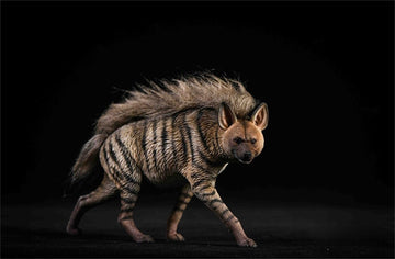 1/6 Africa Striped Hyaena Figure Realistic Educational Hyaenidae Animal Model Resin Collector Home Decoration Birthday Gift