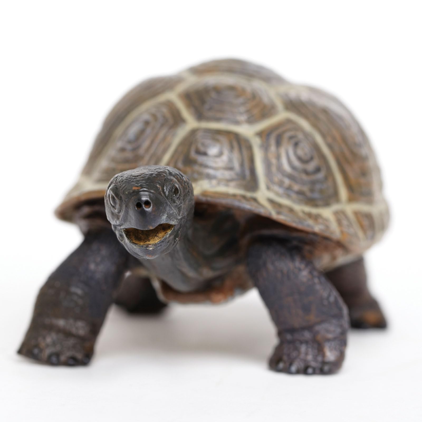 Safari Ltd. Tortoise Baby Figurine - Detailed 5.5" Plastic Model Figure - Fun Educational Play Toy for Boys, Girls & Kids Ages 18M+