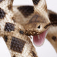 Safari Ltd. Eastern Diamondback Rattlesnake Figurine - Realistic 40" Model Figure - Educational Toy for Boys, Girls, and Kids Ages 18M+