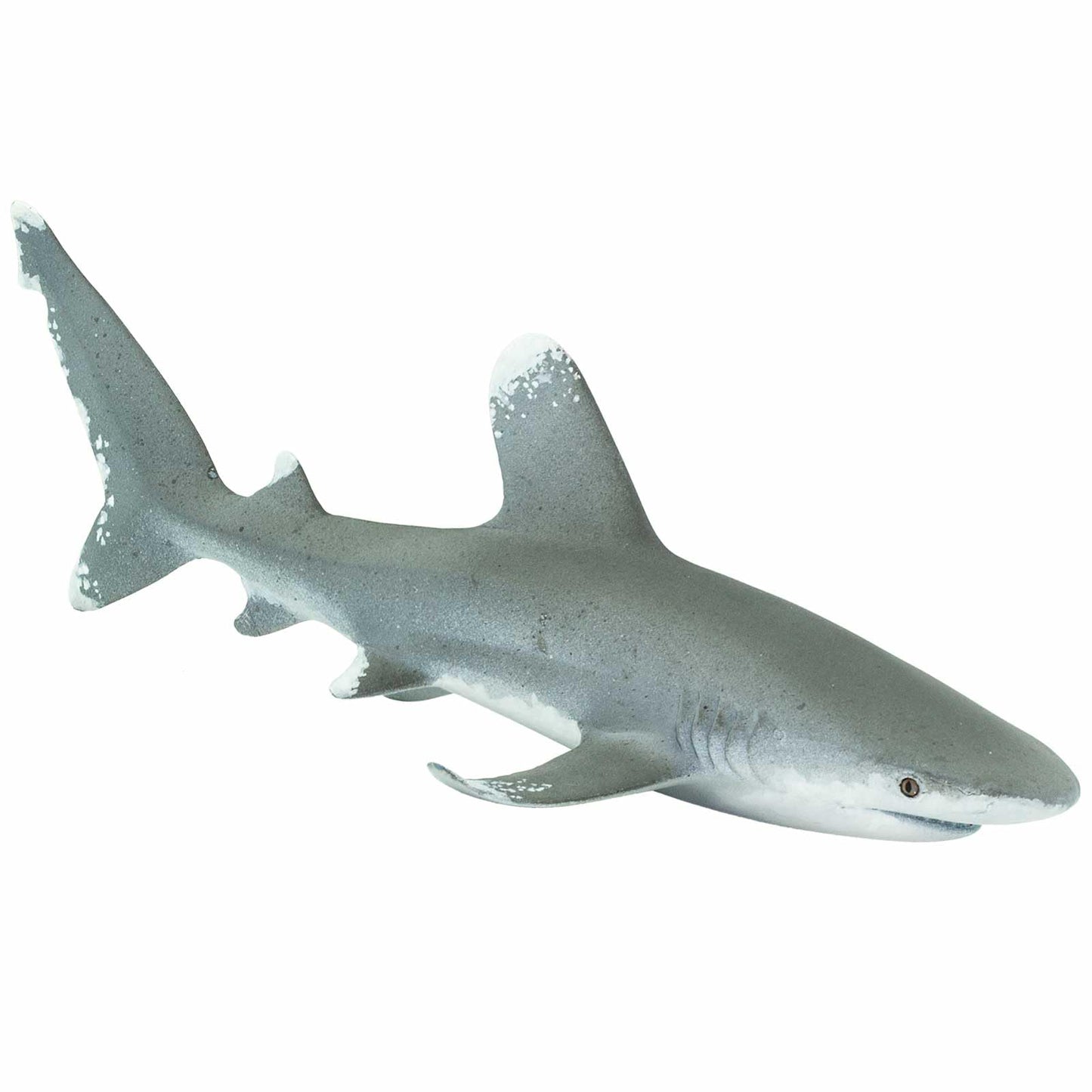 Safari Ltd. Oceanic Whitetip Shark Figurine - Realistic 6" Plastic Figure - Educational Ocean Toy for Boys, Girls, and Kids Ages 3+