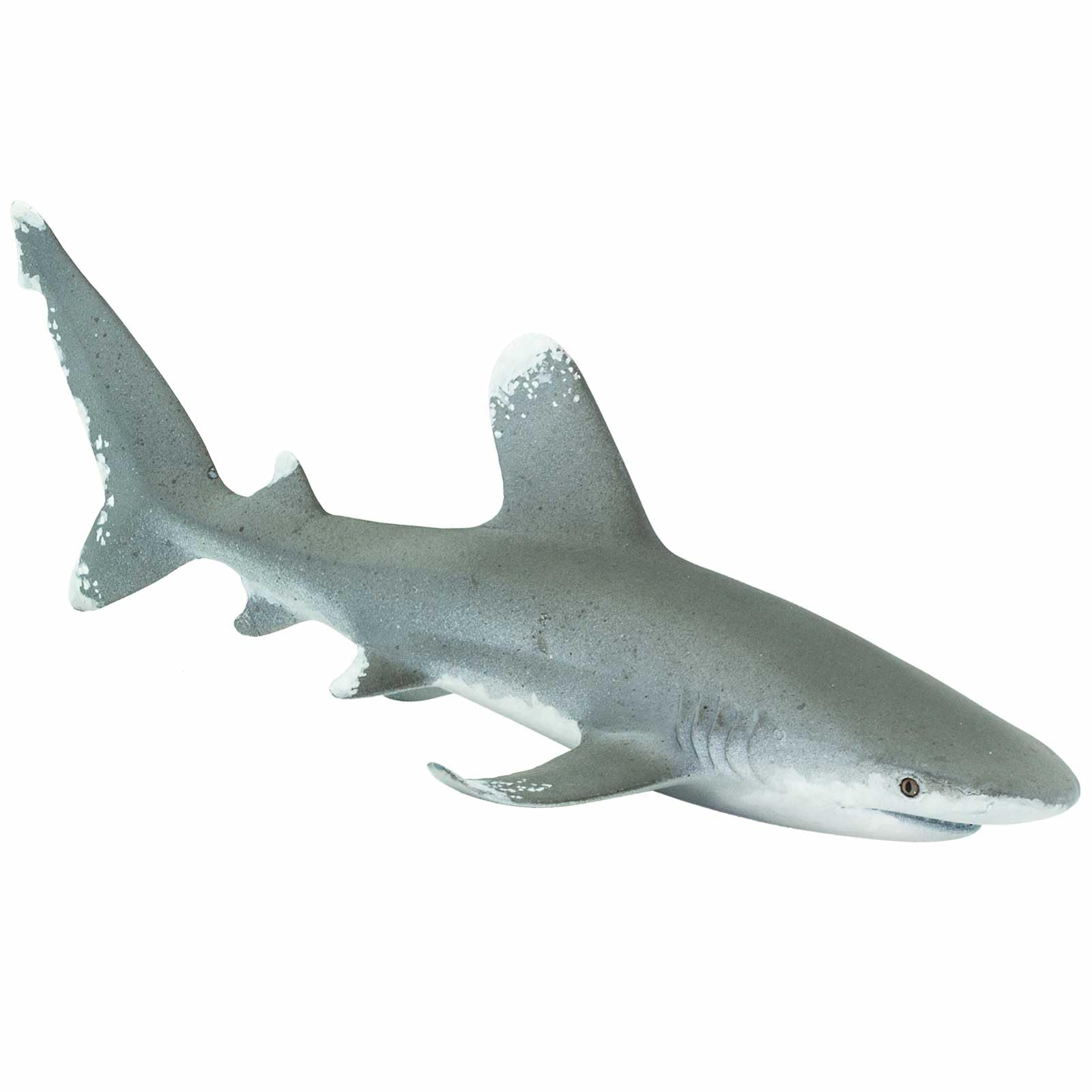 Safari Ltd. Oceanic Whitetip Shark Figurine - Realistic 6" Plastic Figure - Educational Ocean Toy for Boys, Girls, and Kids Ages 3+