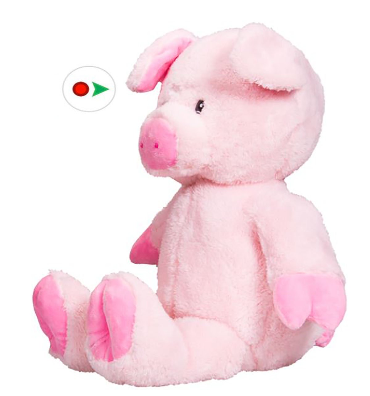 Stuffems Toy Shop Record Your Own Plush 8 inch Pudge The Pig - Ready 2 Love in a Few Easy Steps