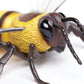 Safari Ltd. Honey Bee Figurine - Lifelike 5.5" Model Figure - Educational Toy for Boys, Girls, and Kids Ages 3Y+