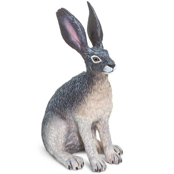 Safari Ltd. American Desert Hare Figurine - Detailed 3" Plastic Model Figure - Fun Educational Play Toy for Boys, Girls & Kids Ages 3+