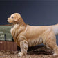 Lana Toys 1:6 Scale Golden Retriever Dog Pet Figure Realistic Animal Model