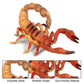 FLORMOON Animal Figures Realistic Scorpion Plastic Early Educational Toys Cupcake Topper Party Gift for Kids 2+ Year Old