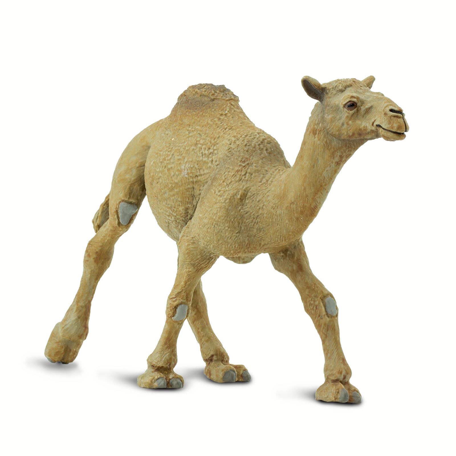Safari Ltd. Dromedary Camel Figurine - Lifelike, Hand-Painted 5.75" Model Figure - Educational Toy for Boys, Girls & Kids Ages 3+