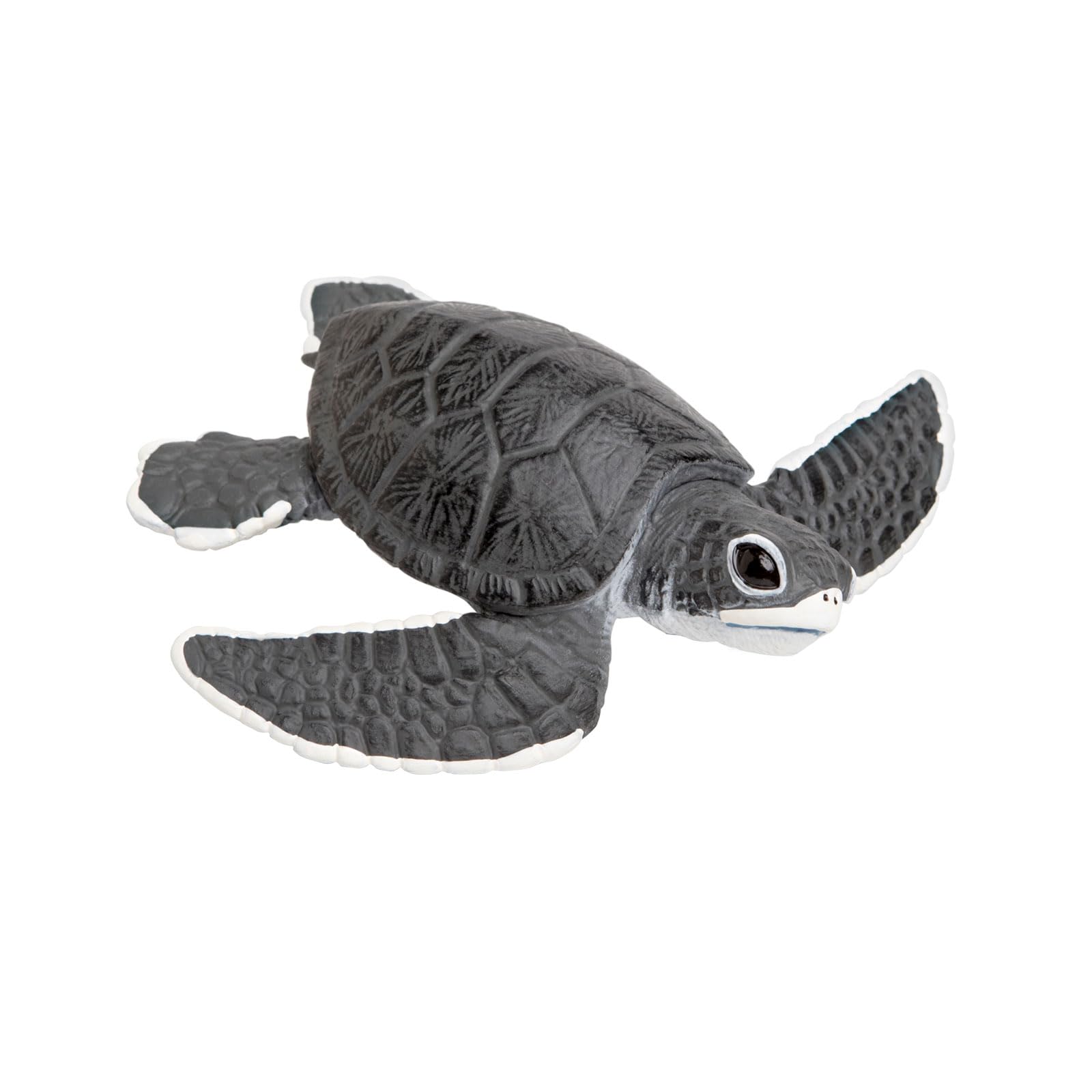 Safari Ltd. Baby Sea Turtle Figurine - Lifelike 5.5" Model Figure - Educational Toy for Boys, Girls, and Kids Ages 18M+