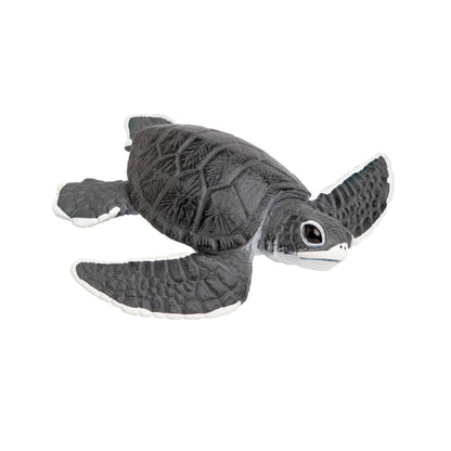 Safari Ltd. Baby Sea Turtle Figurine - Lifelike 5.5" Model Figure - Educational Toy for Boys, Girls, and Kids Ages 18M+