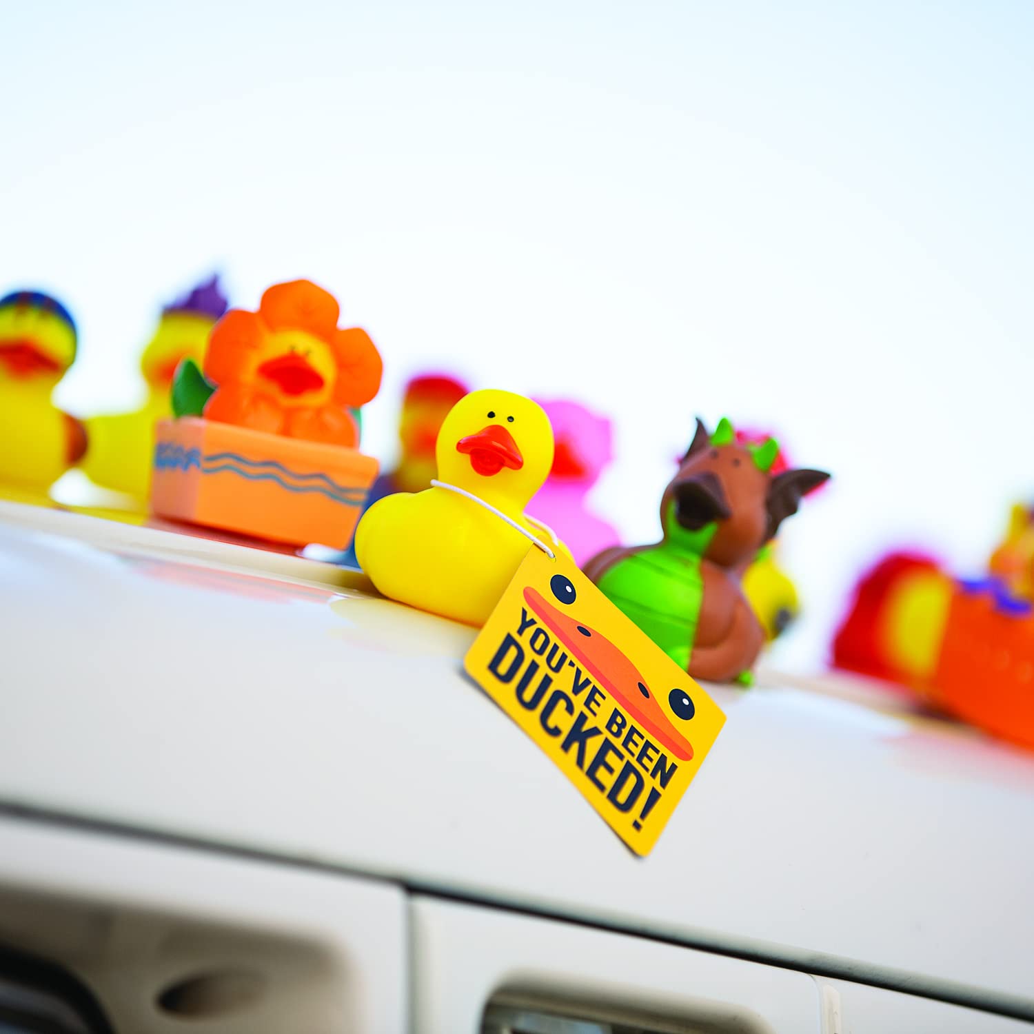 Fun Express You’ve Been Ducked Kit for 12 - Rubber Duckies