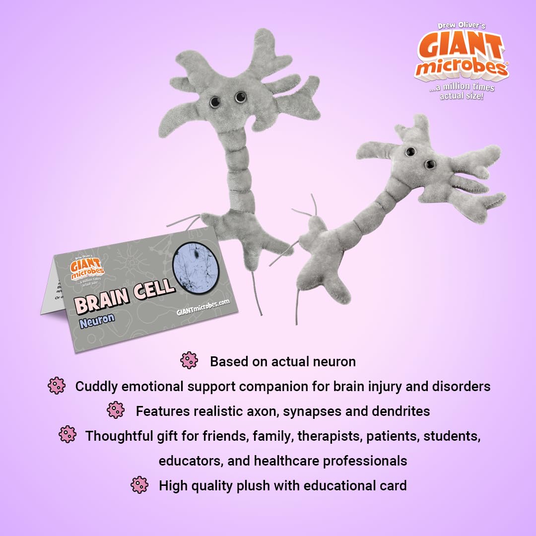 GIANT MICROBES Brain Cell Plush, Neuron Model Anatomy, Psychology Gifts
