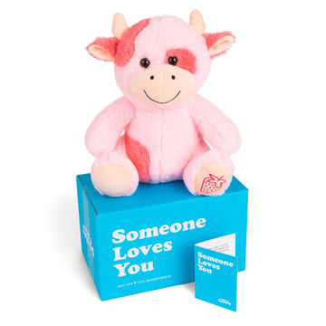SendAFriend Sally the Strawberry Cow Care Package