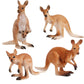 4PCS Safari Animal Figurines, Cake Topper, Toy Animals for Kids with Kangaroos