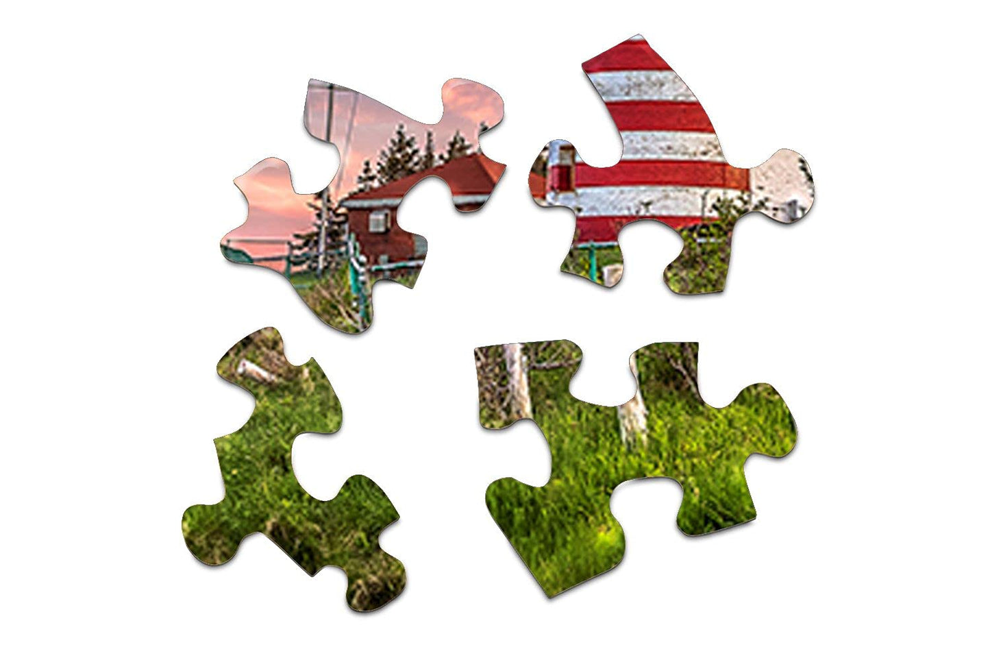 Springbok Puzzles - West Quoddy Head Lighthouse - 1000 Piece Jigsaw Puzzle - Large 30 Inches by 24 Inches Puzzle - Made in USA - Unique Cut