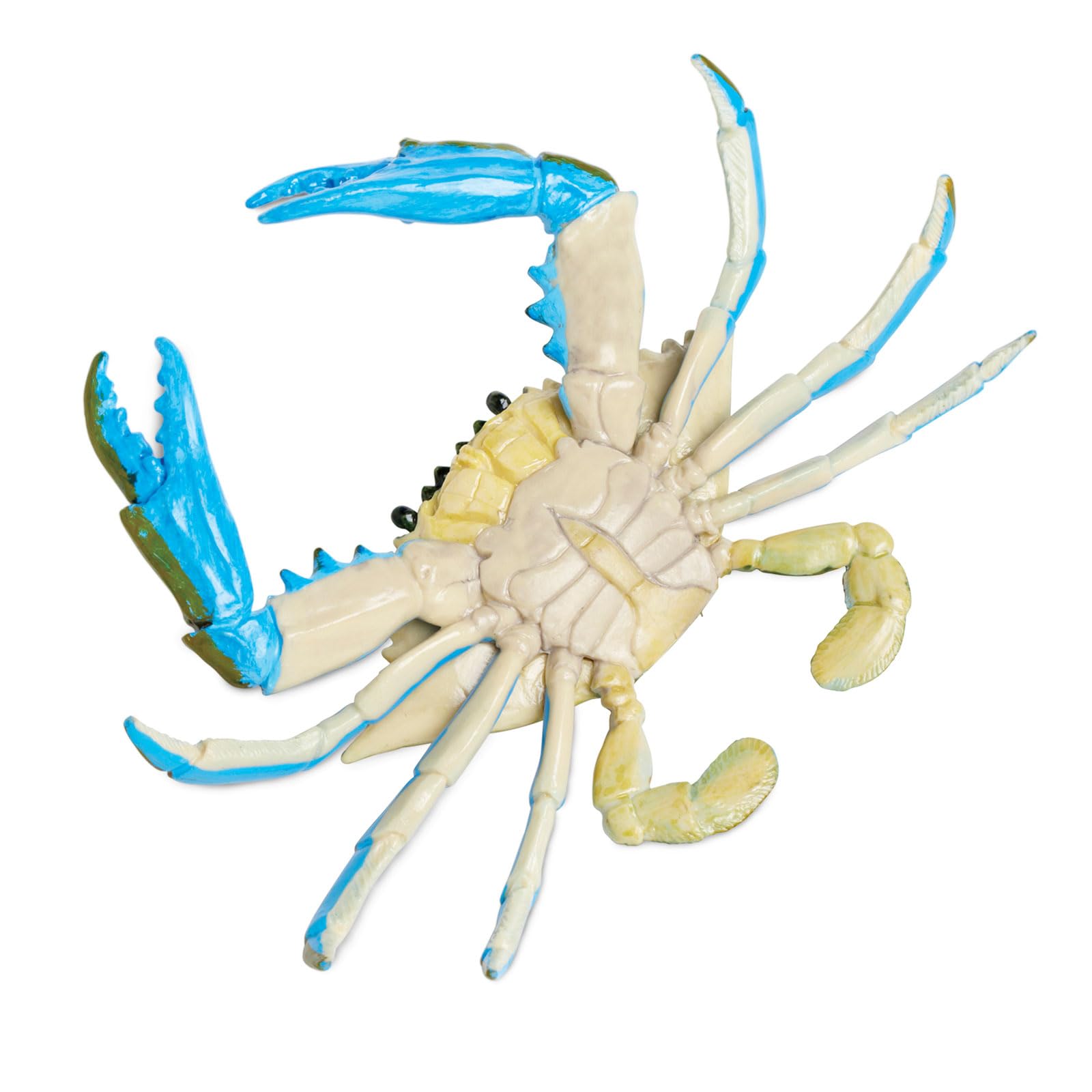 Safari Ltd. Blue Crab Figurine - Realistic 7" Model Figure - Educational Toy for Boys, Girls, and Kids Ages 18M+