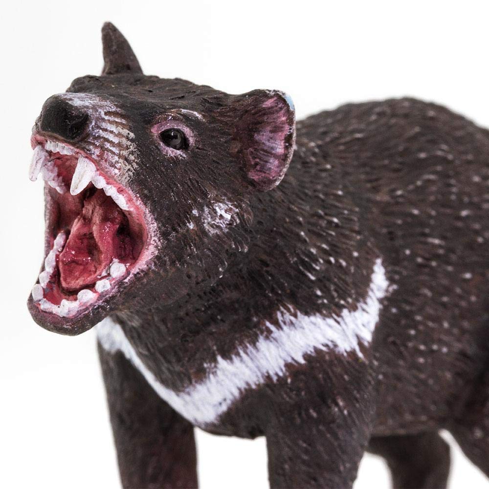 Safari Ltd. Tasmanian Devil Figurine - Realistic 3.5" Marsupial Figure - Educational Toy for Boys, Girls, and Kids Ages 3+