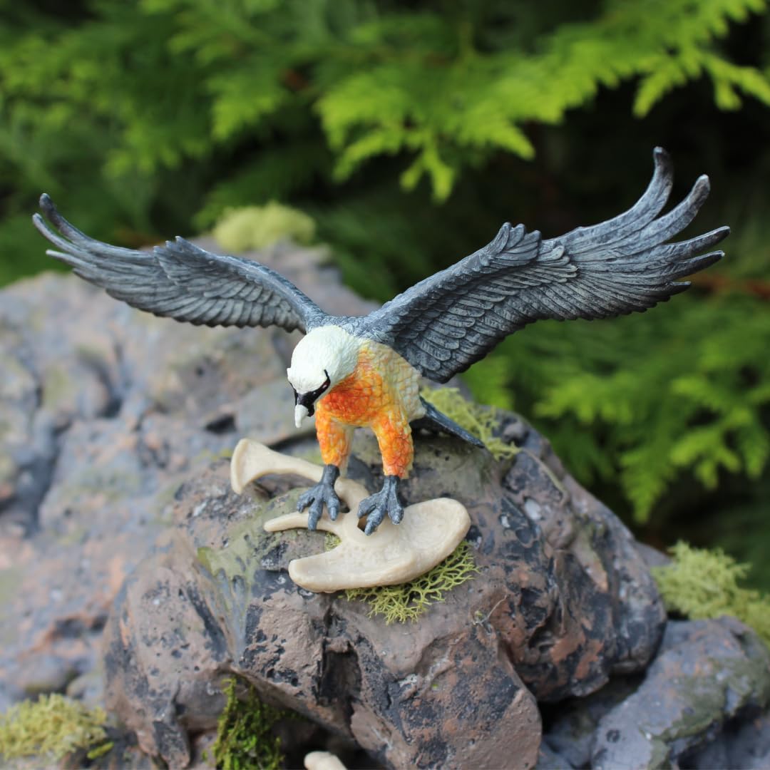 Safari Ltd. Bearded Vulture Figure - Realistic 5.5" Bird Model - Educational Toy for Boys, Girls, and Kids Ages 3+