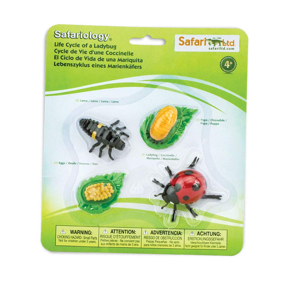 Safari Ltd. Life Cycle of a Ladybug - Educational Toy Figurines - Miniature Beetle Lifecycle Collection for Boys, Girls & Kids Age 4+