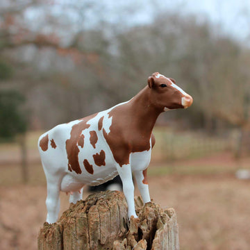 Safari Ltd. Ayrshire Cow Figurine - Lifelike 5.25" Model Figure - Educational Toy for Boys, Girls, and Kids Ages 3+