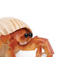 Safari Ltd. Hermit Crab Figurine - Detailed 4.5" Model Figure - Educational Toy for Boys, Girls, and Kids Ages 18M+