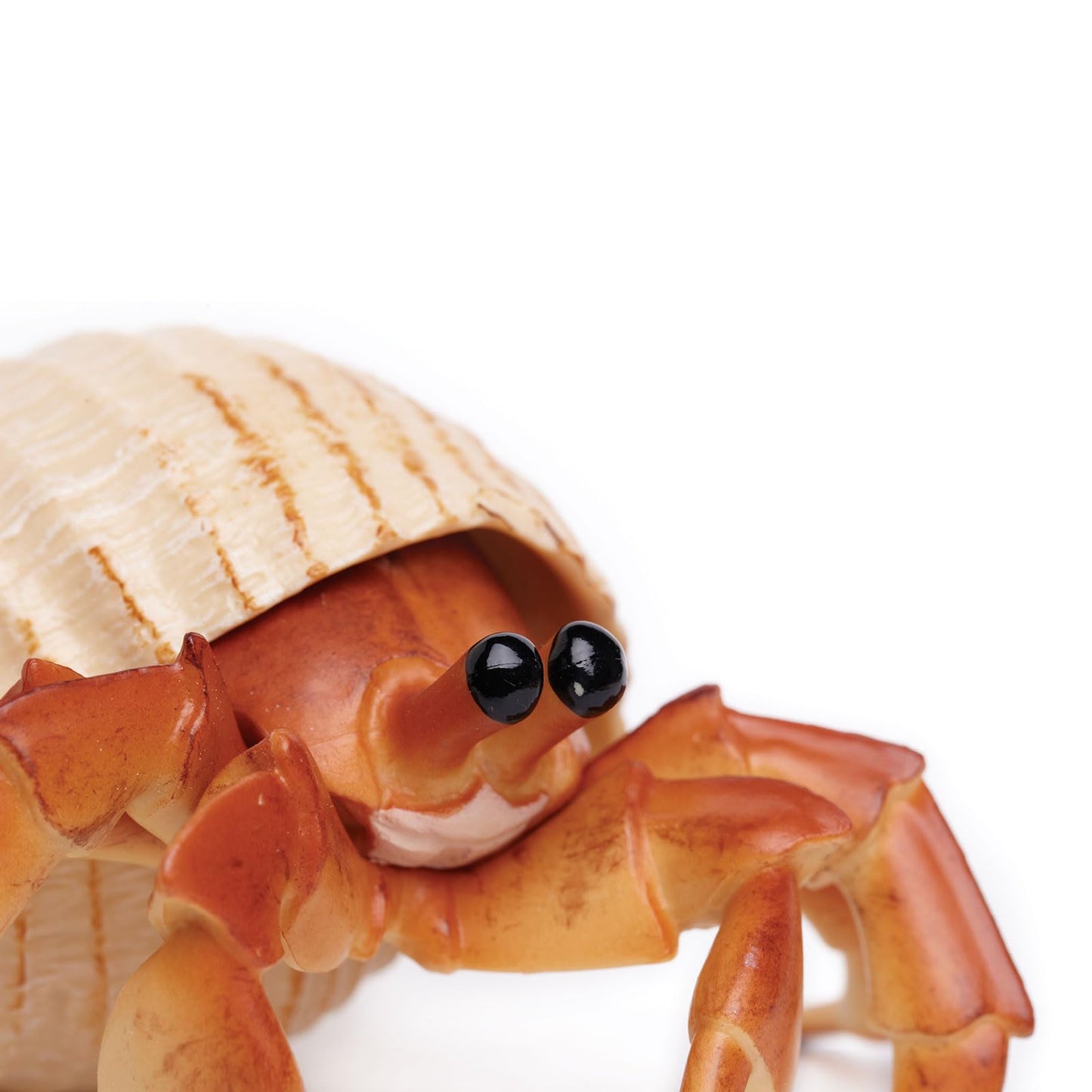 Safari Ltd. Hermit Crab Figurine - Detailed 4.5" Model Figure - Educational Toy for Boys, Girls, and Kids Ages 18M+