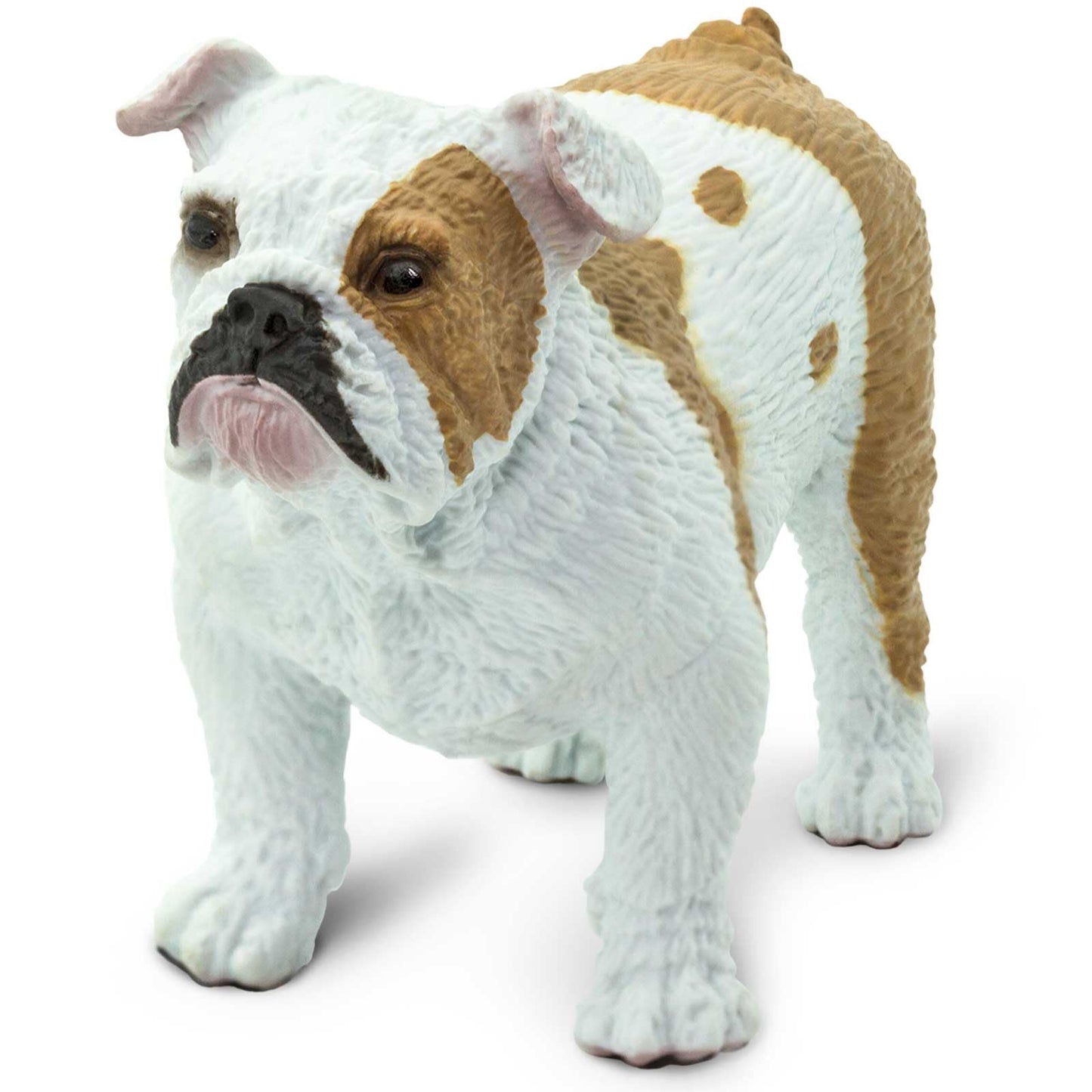 Safari Ltd. Bulldog Figurine - Lifelike 2.25" Model Figure - Educational Toy for Boys, Girls, and Kids Ages 3+