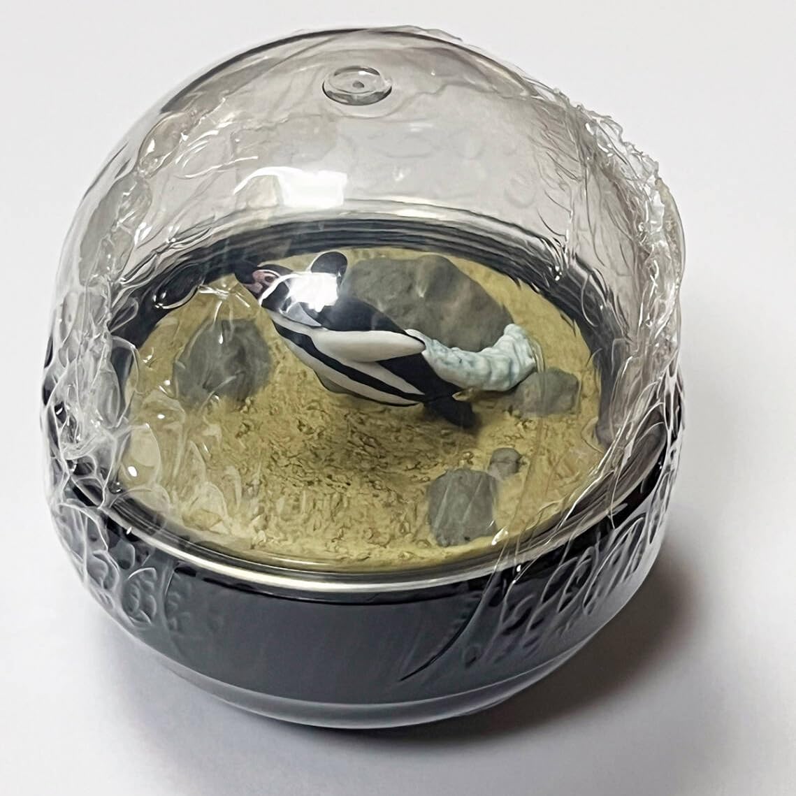 Marine Life Miniature Aquarium sea Turtle Spotted Garden EEL Humboldt Penguin Snow Globe (Humboldt Penguin)