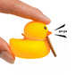 “Friend You Quack Me Up” Mini Rubber Duck - Fun Animal Gift - Adorable Duck Lover's Present, Humorous Novelty Gift Box.