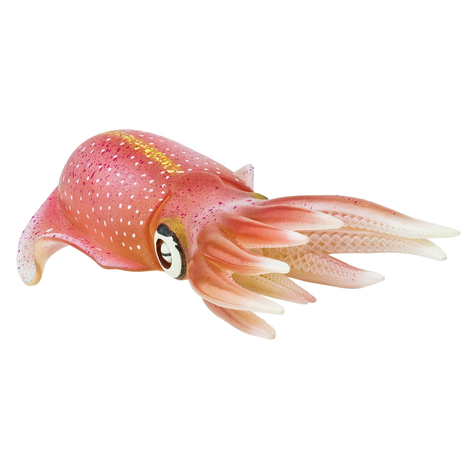 Safari Ltd. Reef Squid Toy Figurine - Detailed 8.25" Plastic Model Figure - Fun Educational Play Toy for Boys, Girls & Kids Ages 3+