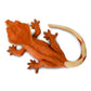 Safari Ltd. Crested Gecko - Realistic 5.5" Model Figure - Educational Toy for Boys, Girls & Kids Ages 3+