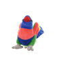 Wild Republic Cuddlekins Mini Lorikeet Stuffed Animal - 8"