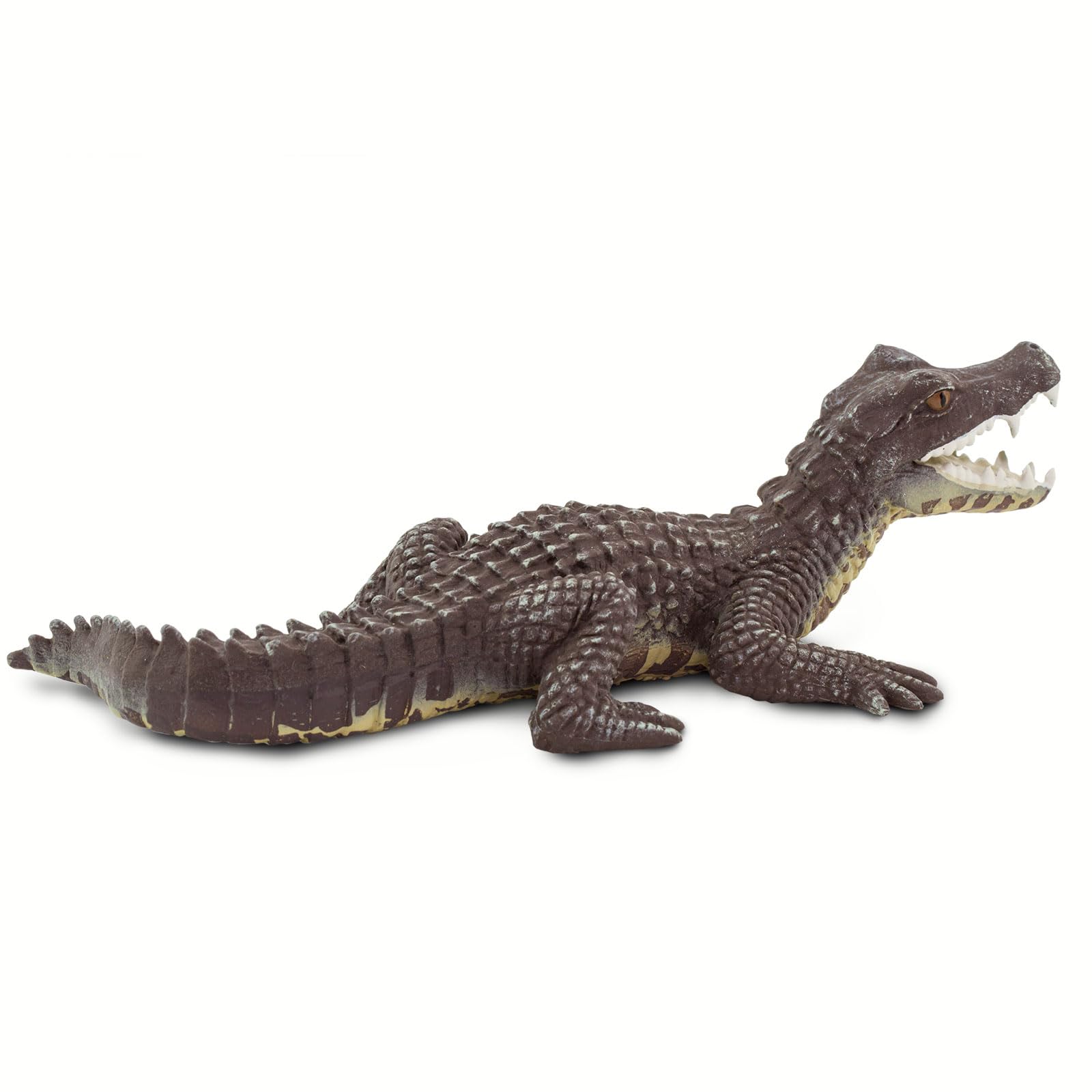 Safari Ltd. Caiman Figurine - Realistic 5" Reptile Figure - Educational Toy for Boys, Girls, and Kids Ages 3+