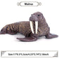 JOKFEICE Walrus Figures - Realistic Animal Figures Pretend Play Toy - Learning Educational Toy Christmas Birthday Gift Cake Topper Teacher Rewards