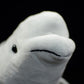 Frankiezhou Home Beluga Whale Plush Toy - Realistic 20.5" Grey Lifelike Frilled Six Gill Shark Stuffed Toy, Super Soft Sea Creatures Sharks Model