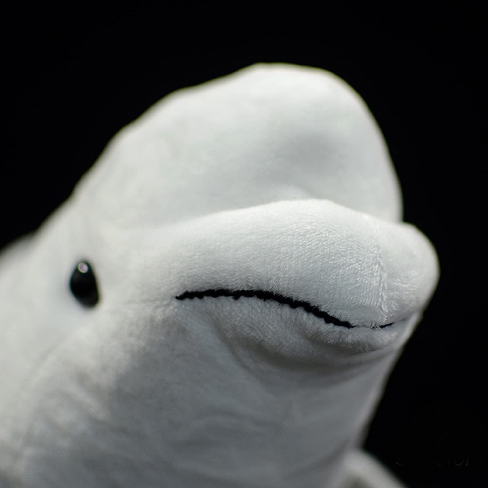 Frankiezhou Home Beluga Whale Plush Toy - Realistic 20.5" Grey Lifelike Frilled Six Gill Shark Stuffed Toy, Super Soft Sea Creatures Sharks Model