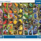 New York Puzzle Company - Cornell Lab Rainbow of Birds - 1000 Piece Jigsaw Puzzle for Adults