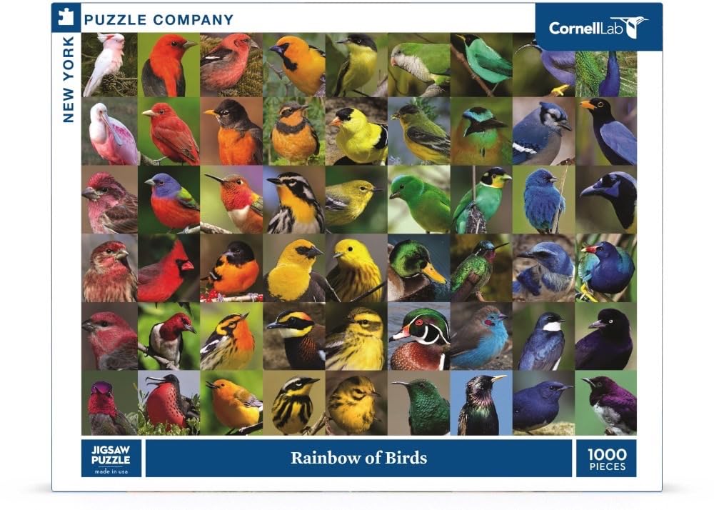 New York Puzzle Company - Cornell Lab Rainbow of Birds - 1000 Piece Jigsaw Puzzle for Adults