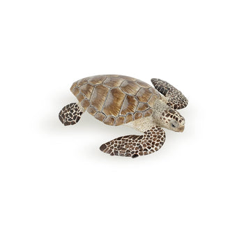 Papo - Realistic Loggerhead Sea Turtle Figure - Ages 3+ - Marine Life Collection - Educational Play Marine Animals - Gift Idea Toy for Girls and Boys