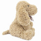 WEIGEDU Poodle Puppy Goldendoodle Stuffed Animal, Golden, 11.8 inch