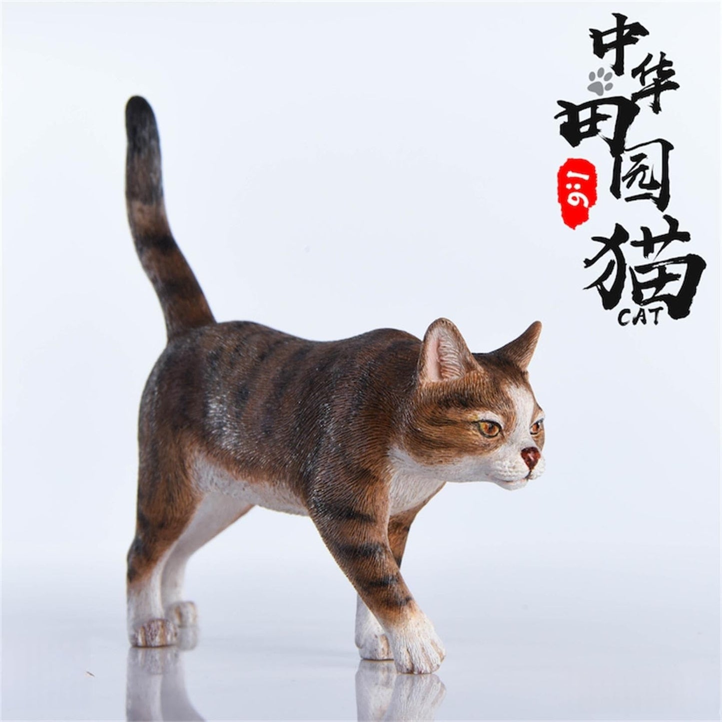 Lana Toys WLNTDOLA 1:6 Scale Chinese Garden Cat Pet Healing Figure Realistic Animal Model