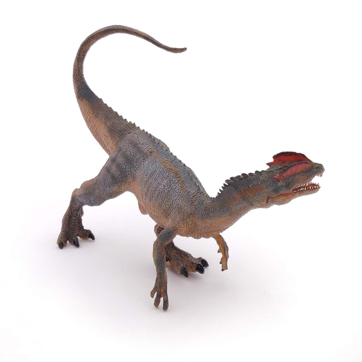 Realistic Dilophosaurus Figurine Toy, Dinosaurs Collection, Kids Ages 3+