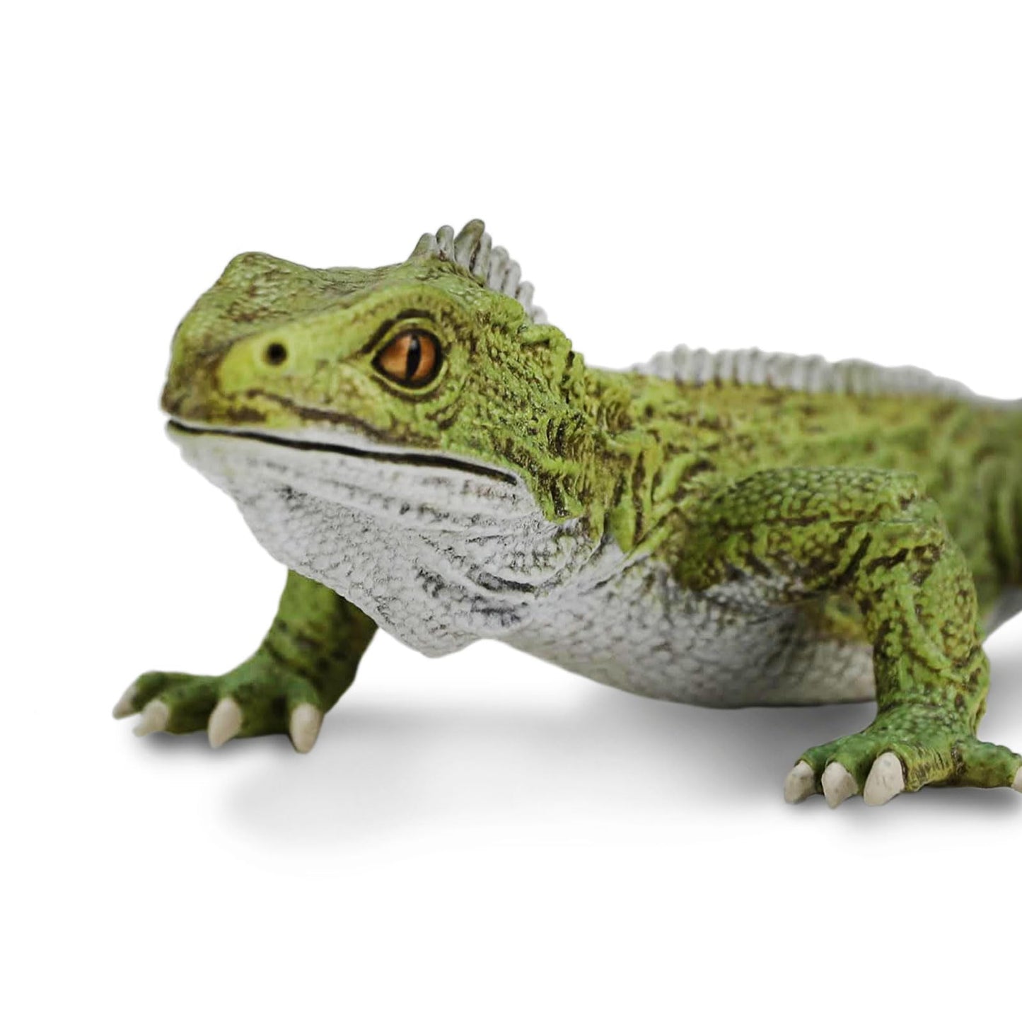 Safari Ltd. Tuatara Figurine - Realistic 7" Reptile Figure - Fun Educational Toy for Boys, Girls, and Kids Ages 3+